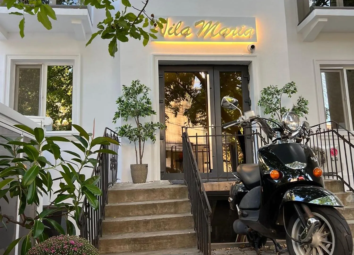 Hostel La Vila Maria Bukarest